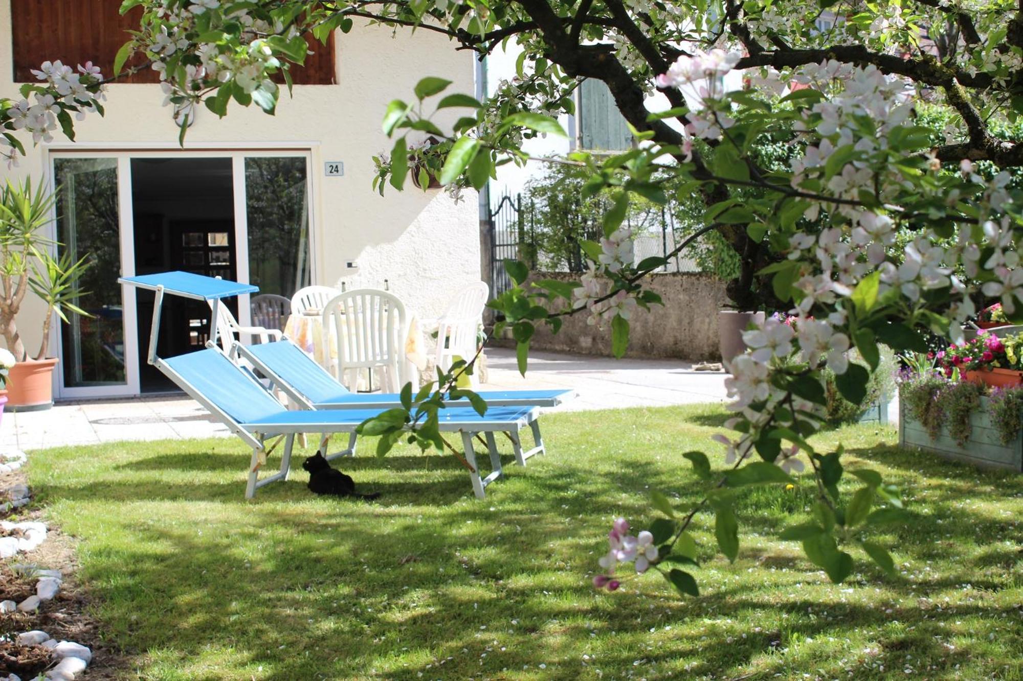 Residence Zecchini Tiarno di Sotto Номер фото